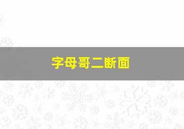 字母哥二断面