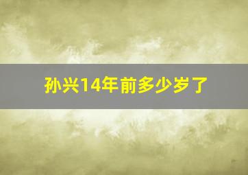 孙兴14年前多少岁了