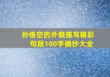 孙悟空的外貌描写精彩句段100字摘抄大全