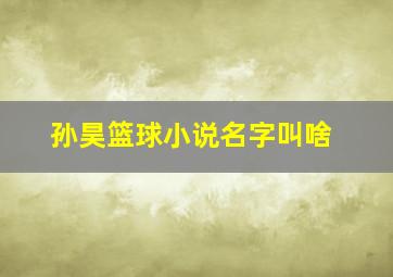 孙昊篮球小说名字叫啥