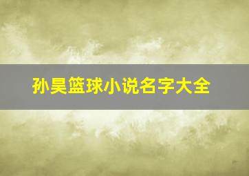 孙昊篮球小说名字大全