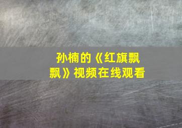 孙楠的《红旗飘飘》视频在线观看