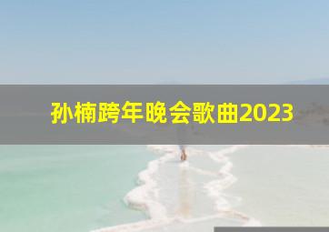 孙楠跨年晚会歌曲2023