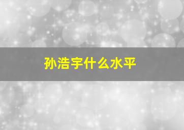 孙浩宇什么水平