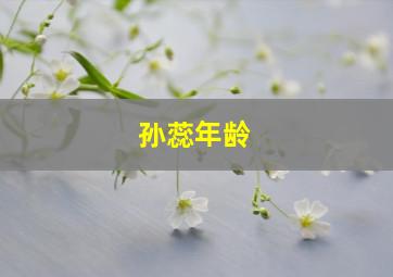 孙蕊年龄