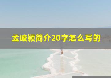 孟峻颖简介20字怎么写的