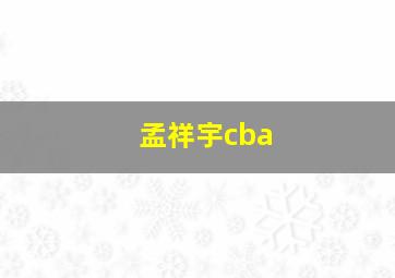 孟祥宇cba