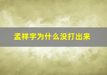 孟祥宇为什么没打出来