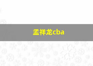 孟祥龙cba