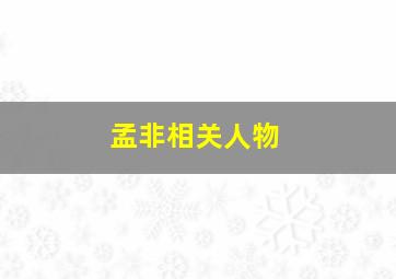 孟非相关人物