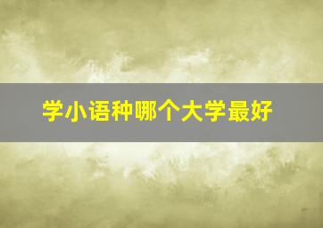 学小语种哪个大学最好