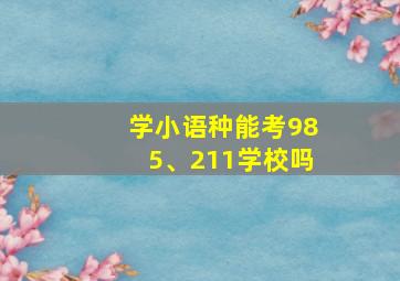 学小语种能考985、211学校吗