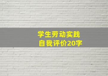 学生劳动实践自我评价20字