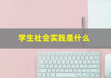 学生社会实践是什么