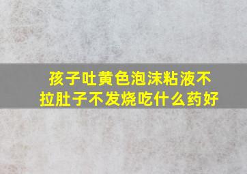 孩子吐黄色泡沫粘液不拉肚子不发烧吃什么药好