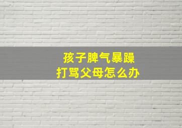 孩子脾气暴躁打骂父母怎么办