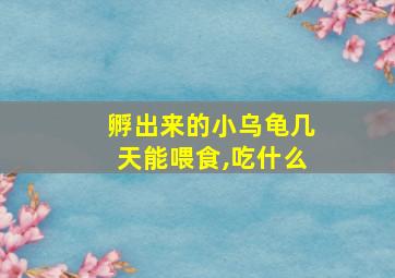 孵出来的小乌龟几天能喂食,吃什么