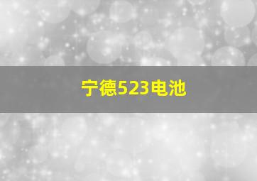 宁德523电池