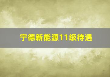 宁德新能源11级待遇