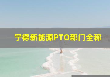 宁德新能源PTO部门全称