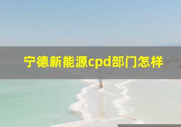 宁德新能源cpd部门怎样