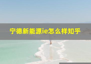 宁德新能源ie怎么样知乎