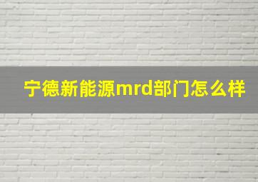 宁德新能源mrd部门怎么样