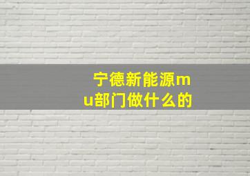 宁德新能源mu部门做什么的