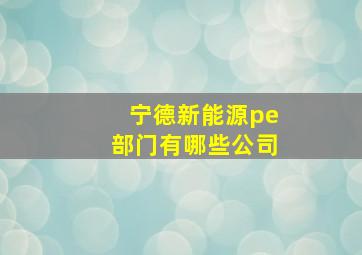 宁德新能源pe部门有哪些公司