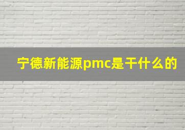 宁德新能源pmc是干什么的