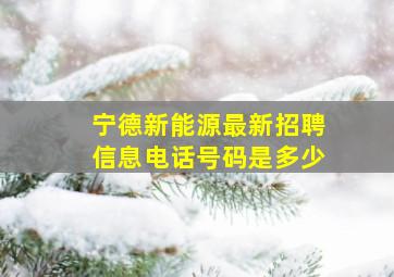 宁德新能源最新招聘信息电话号码是多少