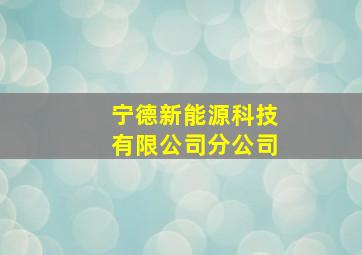 宁德新能源科技有限公司分公司