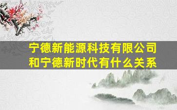 宁德新能源科技有限公司和宁德新时代有什么关系