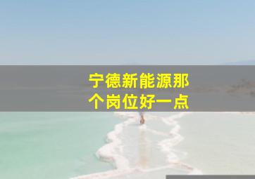 宁德新能源那个岗位好一点