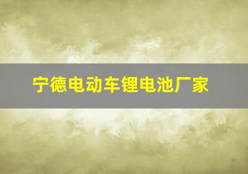 宁德电动车锂电池厂家