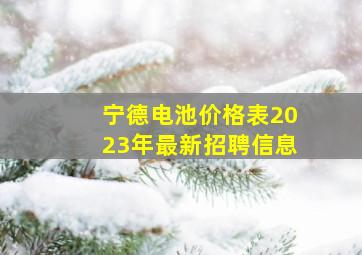 宁德电池价格表2023年最新招聘信息