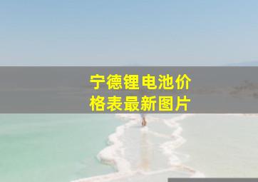 宁德锂电池价格表最新图片