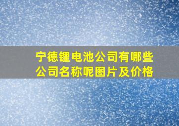 宁德锂电池公司有哪些公司名称呢图片及价格