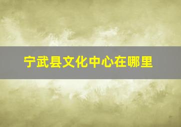 宁武县文化中心在哪里