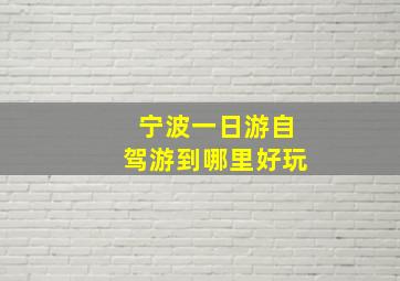 宁波一日游自驾游到哪里好玩