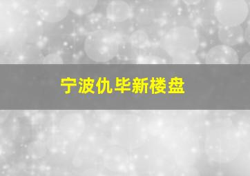 宁波仇毕新楼盘