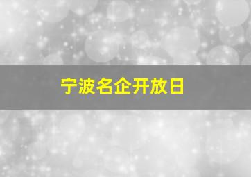 宁波名企开放日