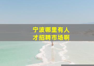 宁波哪里有人才招聘市场啊