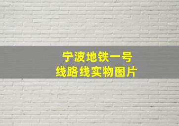 宁波地铁一号线路线实物图片