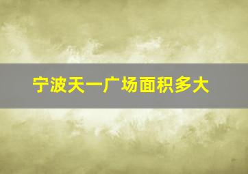 宁波天一广场面积多大