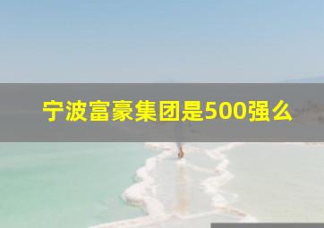 宁波富豪集团是500强么