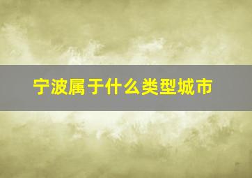 宁波属于什么类型城市