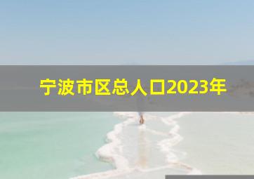 宁波市区总人口2023年