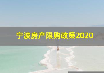 宁波房产限购政策2020