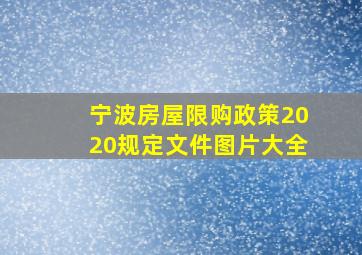 宁波房屋限购政策2020规定文件图片大全